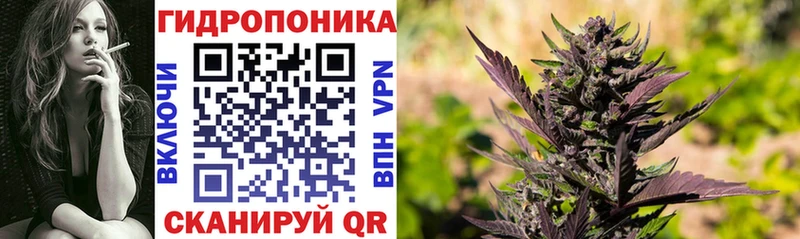 Каннабис гибрид  Ильский 